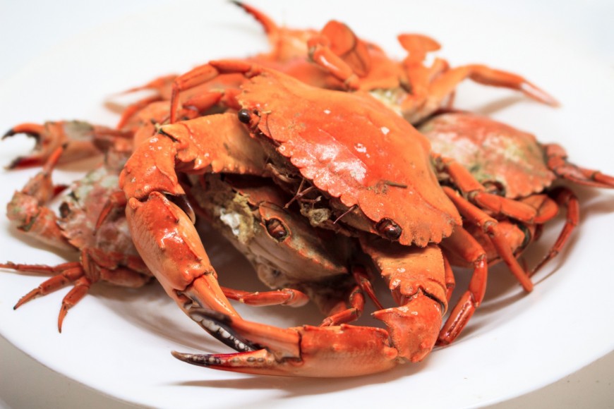 Maine Crab Cosmopolitan