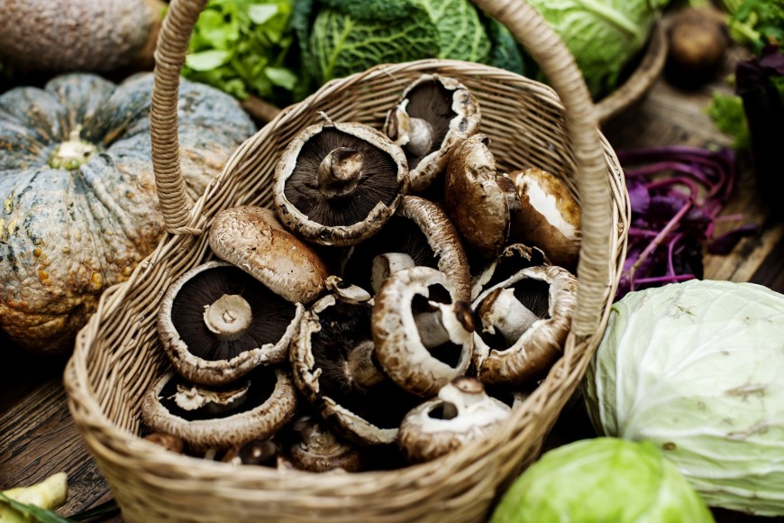 Portobello Mushroom Bruschetta